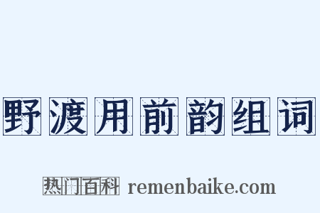 野渡用前韵组词是什么意思的图片